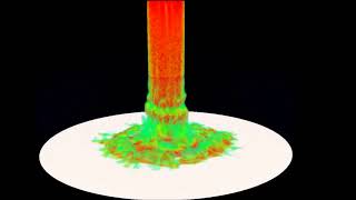 AIAA   Flow Visualization Showcase