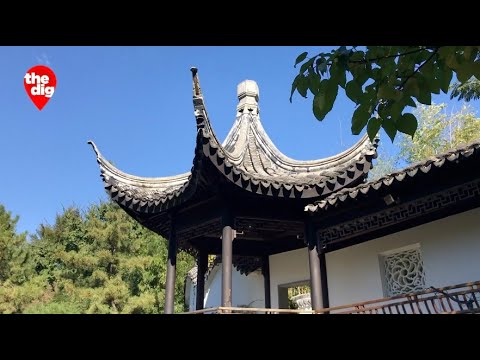 An Oasis For Harmony And Peace: A Visit To New York Chinese Scholar's Garden