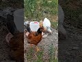 18 мая 2026 г.