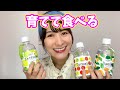 車椅子で畑作業は難しいので水耕栽培してみた【Vlog】
