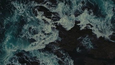 SFI Harvest video with English subtitles