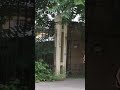 Красота брюнетка новый прикол секси женщина девушка