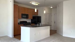 Mosaic at Metro Apartments - Hyattsville, MD - Mondrian Unit 1407