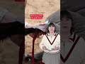 Carfentanyl gilt als gefährlichste Dr0ge der Welt! Interpol warnt nun vor dem Konsum. #Shorts