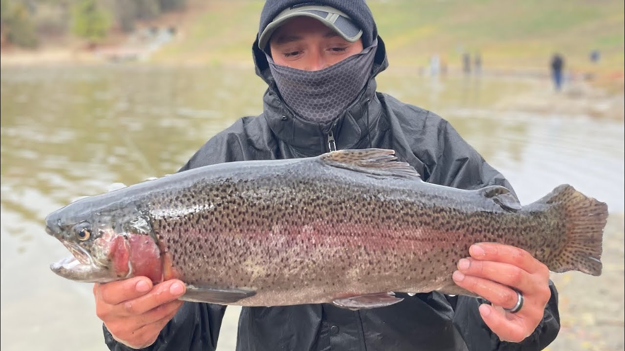 8lb Rainbow Trout ! 🌧