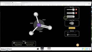 Celebrity Using a Phet Simulation to Build Molecules with One Central Atom Net Worth