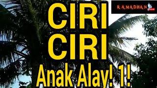 Ciri Ciri Anak Alay!,-