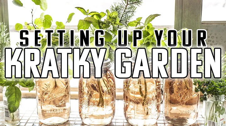 HOW TO SETUP A KRATKY GARDEN | KRATKY METHOD 101 | The living pantry E.2 Passive Gardening