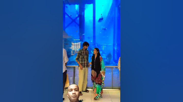 Ramu kaka v/s mem sahab Ep:- 50               Ye kya dekh liya dubai mall me? 😱