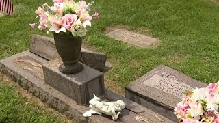 Cemetery vandalized in South Lyon