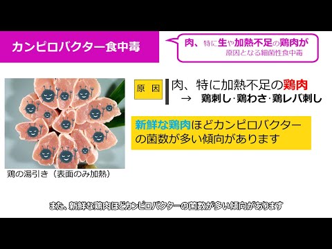 食中毒啓発ファイル Ｆｉｌｅ2 カンピロバクター食中毒