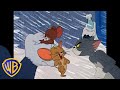 Tom & Jerry | Best of Jerry