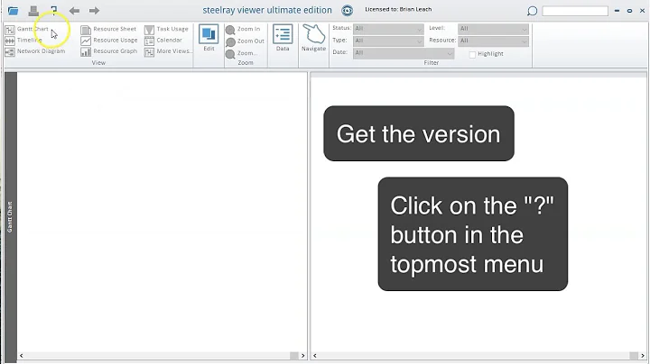 Getting your Steelray project Viewer Version and License Info