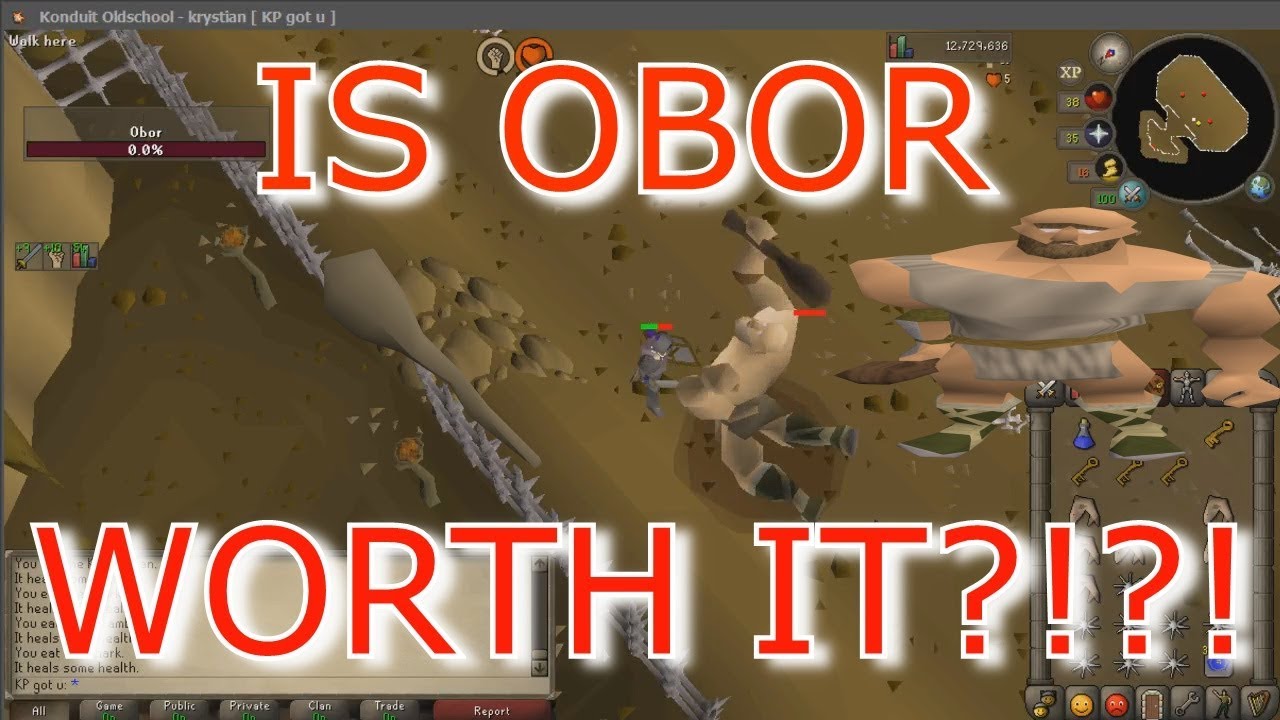 [OSRS] LOOT From 23 OBOR Kills (NOT WORTH!)