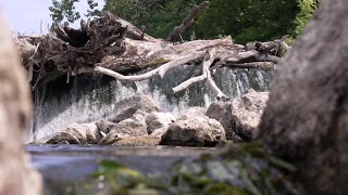 Federal grant to fund sea lamprey barrier on Grand River