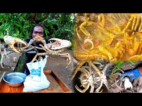 Crab Invasion in Jamaica🇯🇲 | Too Much Crab🦀😋 | Curry Crabs for My Kingston Subscribers 