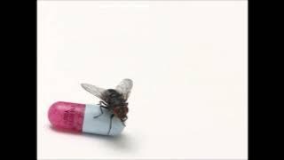 Red Hot Chili Peppers - Police Station (Lyrics)