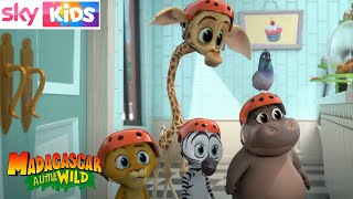 Madagascar - Red Helmet Safety - Sky Kids