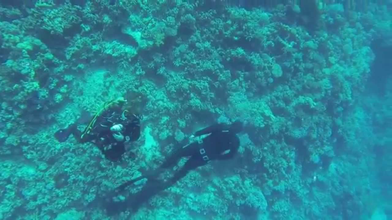 Freediving The Blue Hole Dahab YouTube