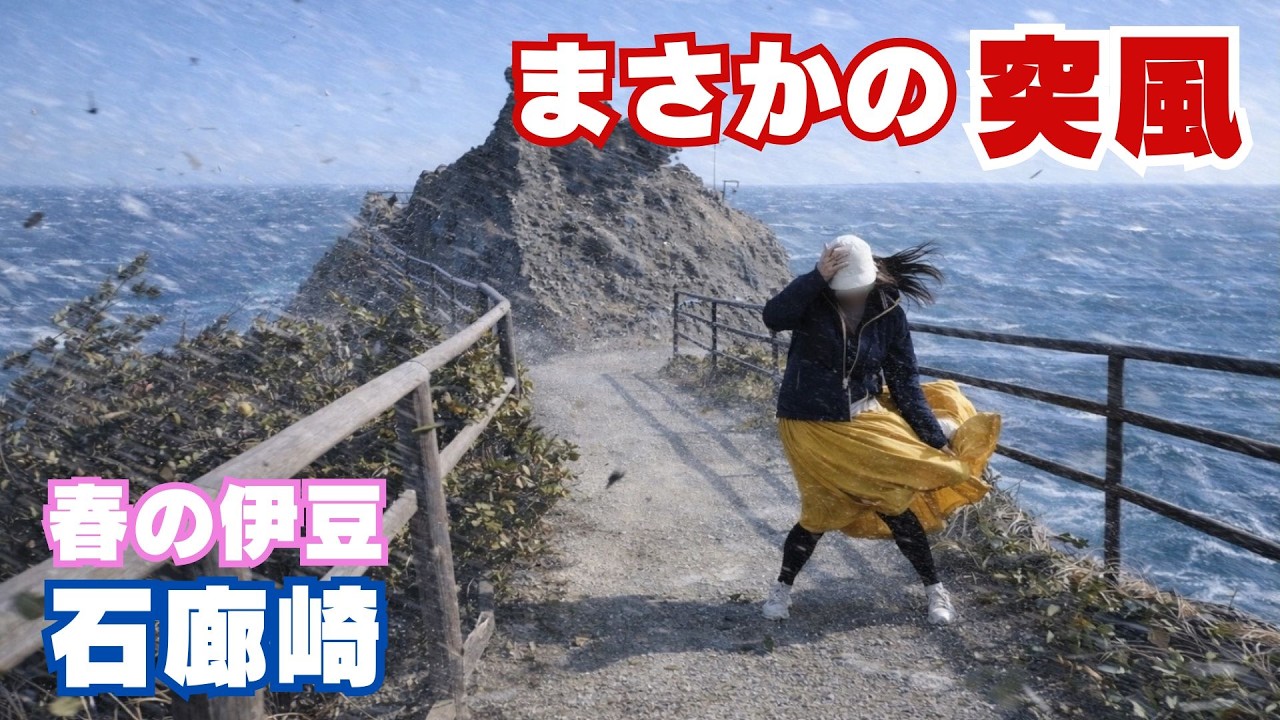 【春の伊豆南端】石廊崎がすごかった/60代夫婦とチワワの車中泊旅