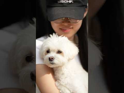 강아지와 쉬다가 받은 깜짝 사진 선물 📸A surprise photo gift I received while resting with my dog 🎁