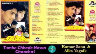 Tumhe Chhede Hawa Chanchal/Kumar Sanu & Alka Yagnik/Salaami(1994)/Beautiful Love song/HQ CD Rip