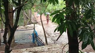 বষট ভজ সকল Bkbd