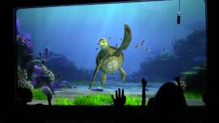 Get To Know Crush The Turtle From Finding Nemo In This Heartwarming Interview