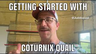 Getting Started with Quail