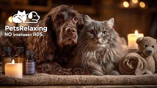 Pet Healing Music 🐾 Relaxing Music for Pets & Owners 🎶💚
