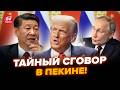 😦Сі видав ШОКУЮЧЕ! Трамп ЖОРСТКО ВІДРЕАГУВАВ. Ось, ЩО насправді ГОТУЮТЬ у Китаї. НАЙКРАЩЕ