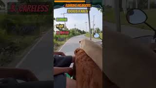 Dog Moves That Backfired Immediately