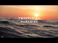 1 HOUR RELAXING AMBIENT MUSIC TROPICAL PARADISE BEACH SOUNDS by ALEXANDER KING CHILLOUT