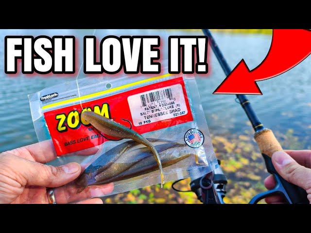 The BEST Bank Fishing Plastic? (I Need to Use it MORE!) 