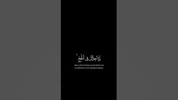 الحج أشهر معلومات | كرومات قرآن كريم بصوت #عبدالرحمن_مسعد | #سورة_البقرة