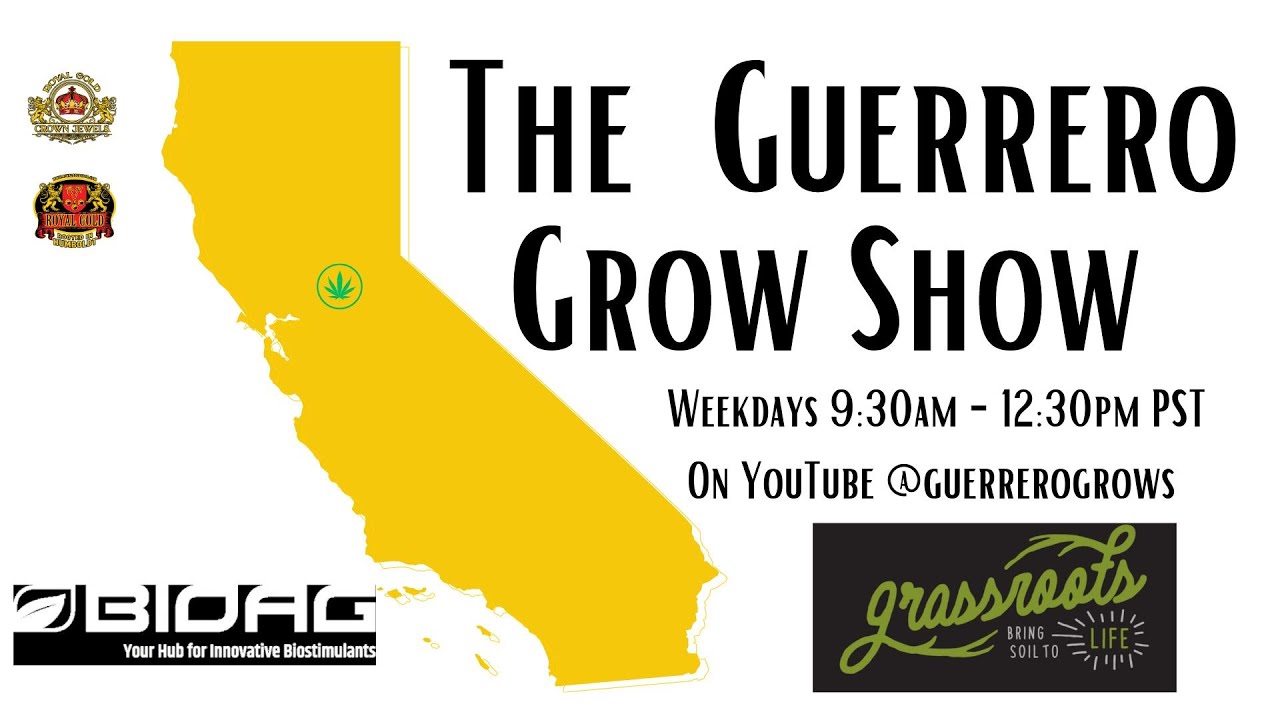 Episode 738 Tamara Kislak-That Good Good Farm