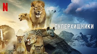 Суперхищники, 1 сезон - русский трейлер (субтитры) | документальный сериал 2023 | Netflix