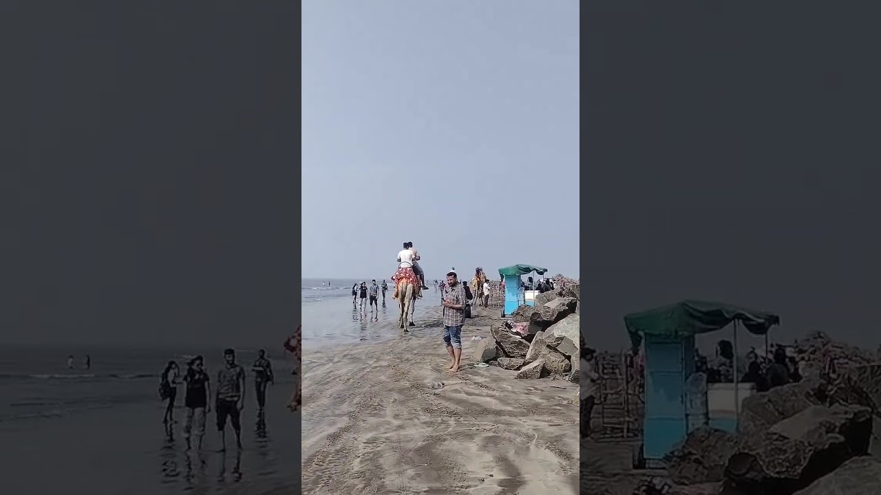 camel 🐪 on beach ⛱️