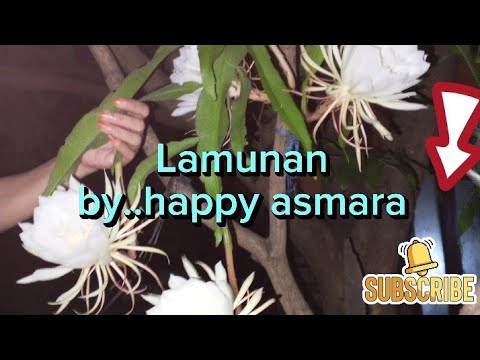 Lamunan happy asmara(lirik lagu)