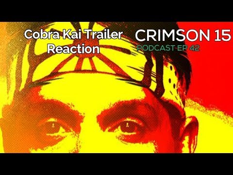 kickboxen Cobra Kai Trailer Reaction