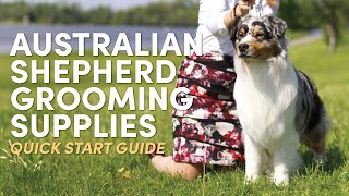 Australian Shepherd Grooming Supplies (Quick Start Guide)