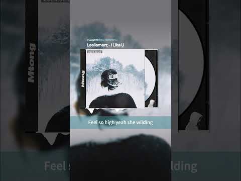 [中字] Leellamarz - I Like U (Feat. CAMO)