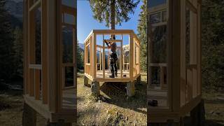 Build Cabin Around Tree 🌴