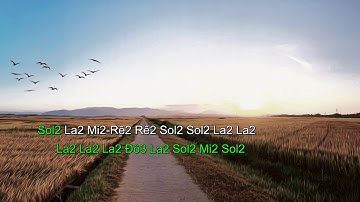 Em Đi Giữa Biển Vàng || Cảm Âm C5 thầy Bùi Công Thơm || Sáo Trúc || Bent Kid