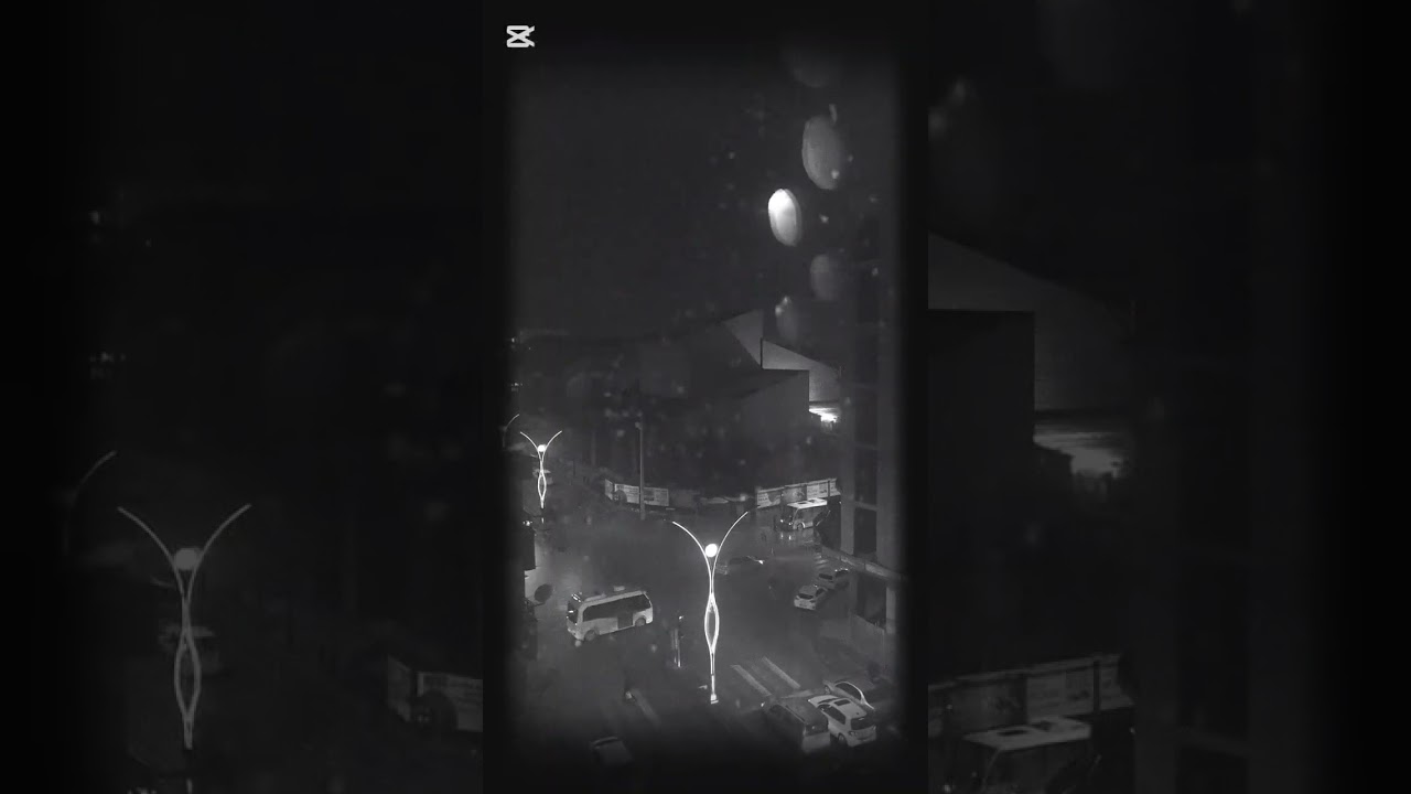 BEN BİR TEK SENİ SEVDİM 