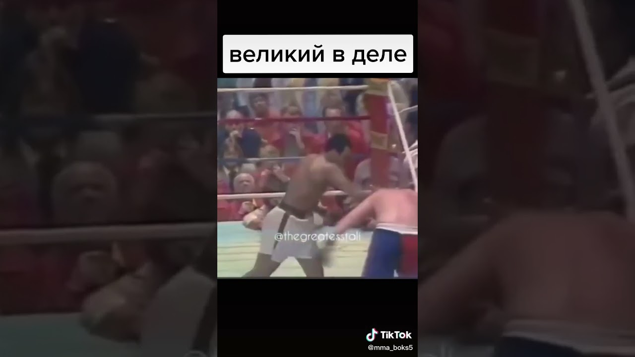 Великий в дели shrt