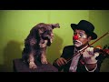 Mera Naam Joker Jaane Kahaan Gaye Woh Din COVER ACTUADO Schnauzer