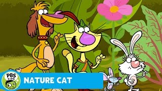 NATURE CAT | Flowers, Fruits, and Vegetables | PBS KIDS