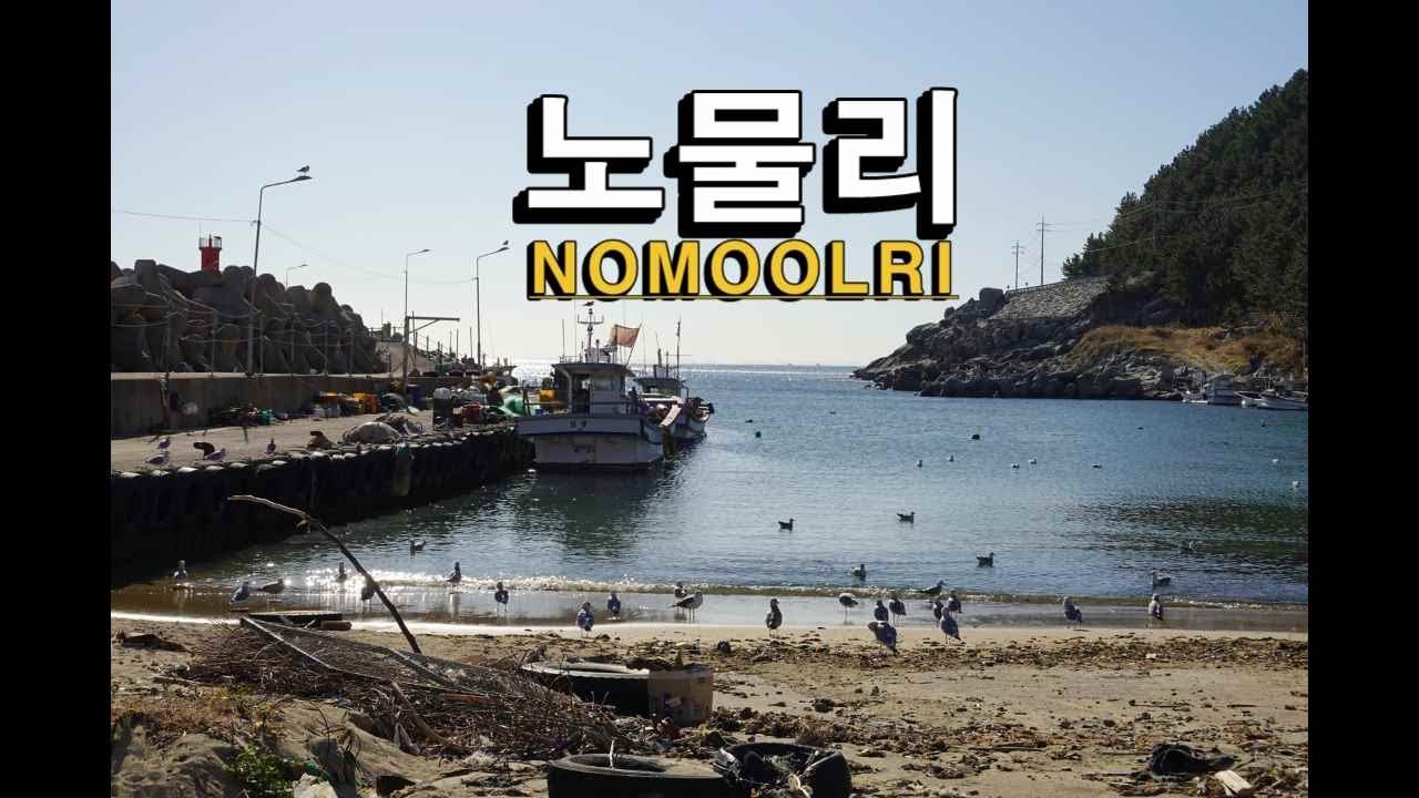 노물리 / 해파랑길 영덕 불루로드 - YouTube