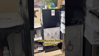 $1 Fridge #auction #reselling #business #money